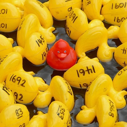 duck-race-crop-2
