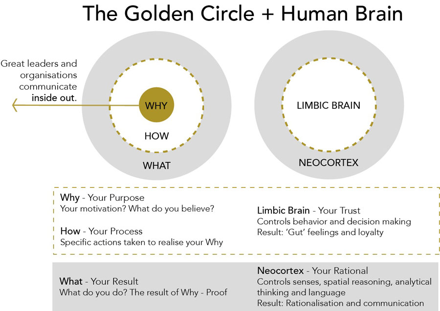 How to create a b2b email strategy (that supports your overall content strategy) 1 Diagram showing how the why relates to the limbic brain. Full description under summary field labelled 'open full image description'.