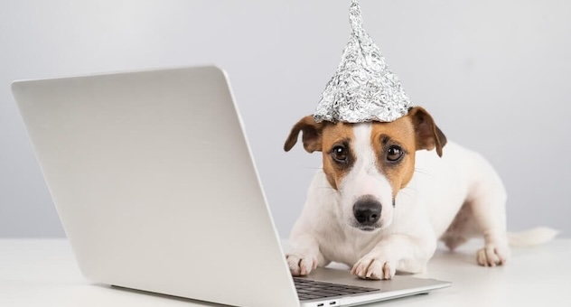 PXL_20230507_142535864 Jack Russell terrier in tinfoil hat, with paws on laptop keyboard, staring into camera