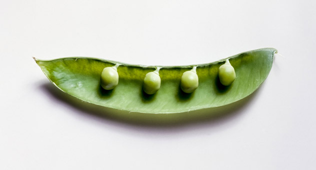 four-peas-in-a-pod