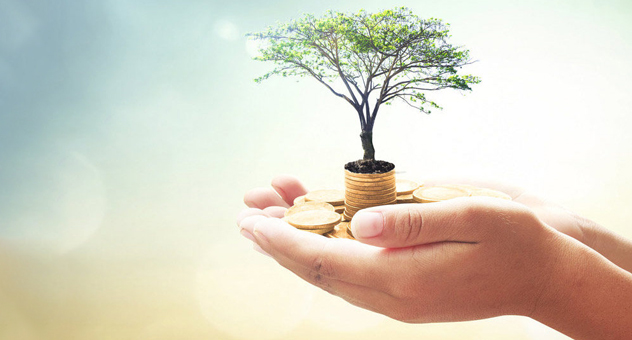 hands-holding-tree