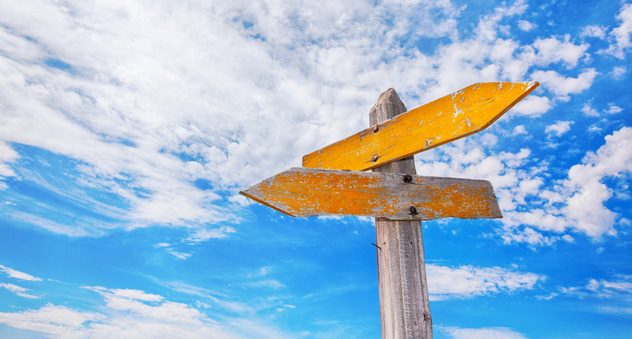 yellow-signposts